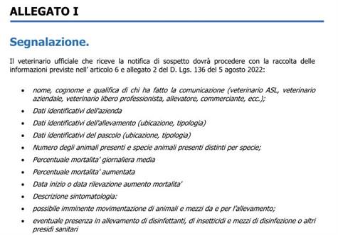 Visualizza articolo