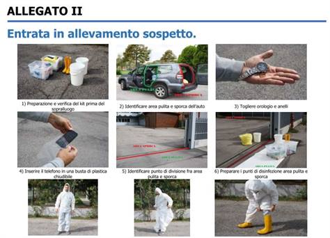 Visualizza articolo