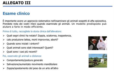 Visualizza articolo