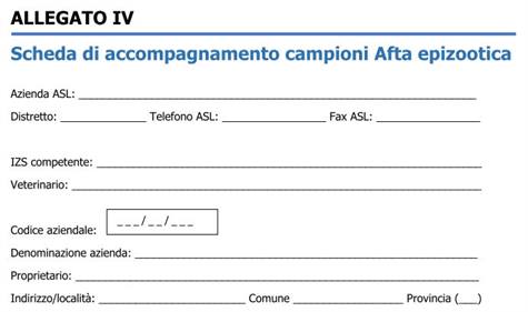 Visualizza articolo
