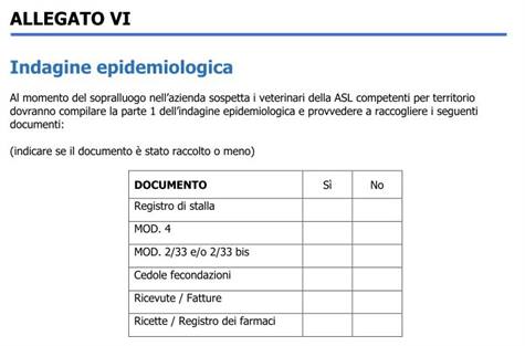 Visualizza articolo