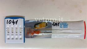 Kit rapido su feci per Salmonella 