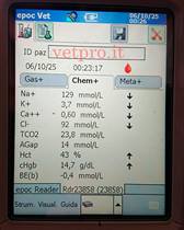 Paresi metabolica al 6° mese gravidanza (Frisona)