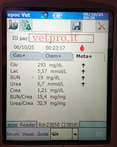 Paresi metabolica al 6° mese gravidanza (Frisona)