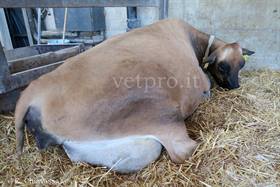 Caso clinico 13: una paresi anomala