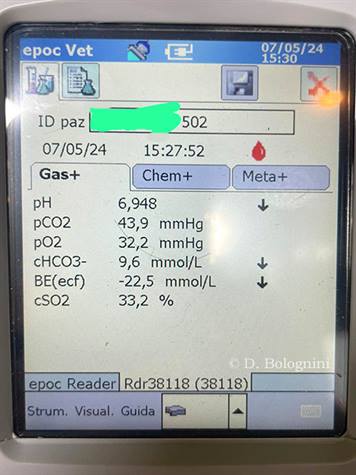 Una grave acidosi ruminale acuta in un box di manze ...