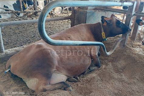 Una paresi anomala alcuni giorni dopo il parto...