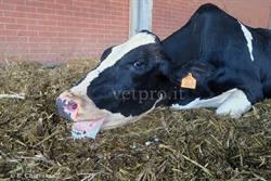 Corso I° livello di Emogasanalisi l'11-12 marzo 2026